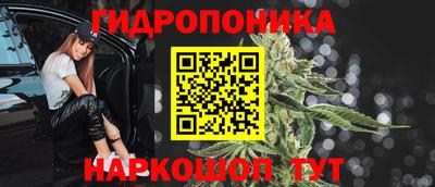 сатива Краснознаменск