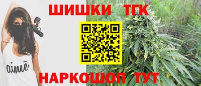 сатива Краснознаменск