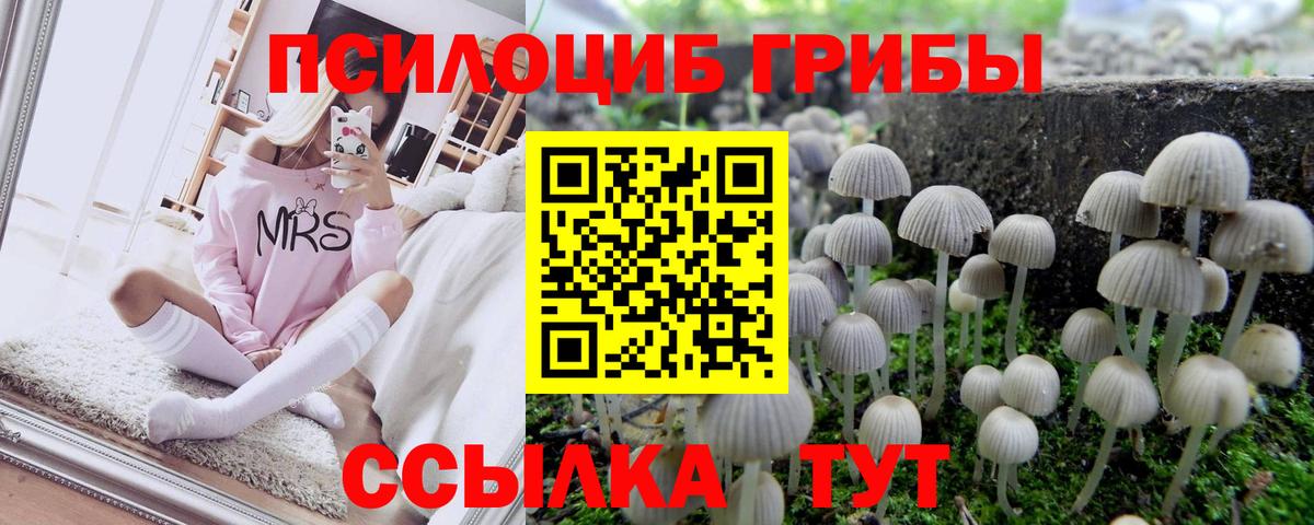 Кострома  Псилоцибиновые грибы Psilocybe  Вход с VPN  Галлюциногенные грибы Psilocybine cubensis 